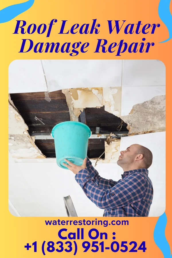 Roof Leak Water Damage Repair in Wells, NV