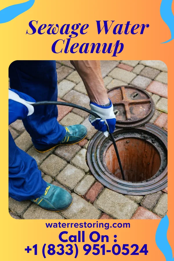 Sewage Water Cleanup in Wells, NV